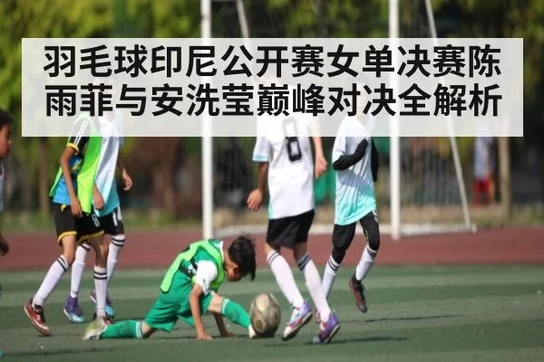 羽毛球印尼公开赛女单决赛陈雨菲与安洗莹巅峰对决全解析